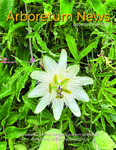 Arboretum News by Georgia Southern University