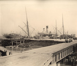 Scene on the Cotton Dock