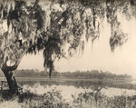 View of River From Bonaventure Cemetery