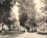 View in Laurel Grove Cemetery