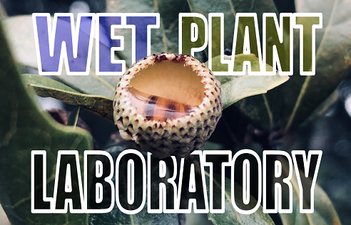Wet Plant Lab