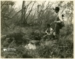 Ben and Harry Chesser at a Gator Cave in the Edge of a Burnt Prairie Head by Francis Harper