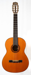 Dorado guitar, model 5984 by Gretsch Company