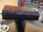 Erasmus 1553 Spine by Kathleen M. Comerford