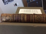 Thesaurus Antiq Rom Vol 2 Spine 2 by Kathleen M. Comerford