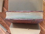 Nifo Arist Front Fore Edge by Kathleen M. Comerford