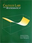 Calculus Labs Using Mathematica by Arthur G. Sparks, James P. Braselton, and John W. Davenport
