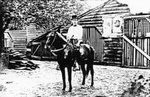 W.T. Smith Livery Stable