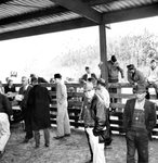 Barrow Show '68, livestock bidding
