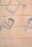 Blue graffiti on white wall