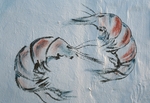Two shrimp