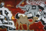 Elephant Graffiti