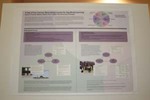 Poster Session 8