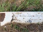 Willie James Mincey by Lakia Hillard