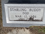 Starling "Buddy" Dod by Lakia Hillard