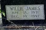 Willie James Lee by Lakia Hillard