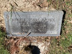 Minnie Jones Brown by Lakia Hillard