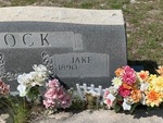Jake Rock by Lakia Hillard