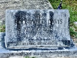 Roosevelt Davis by Lakia Hillard