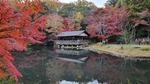 Higashiyama Zoo and Botanical Gardens, Nagoya, Japan by Audree Rose Toler